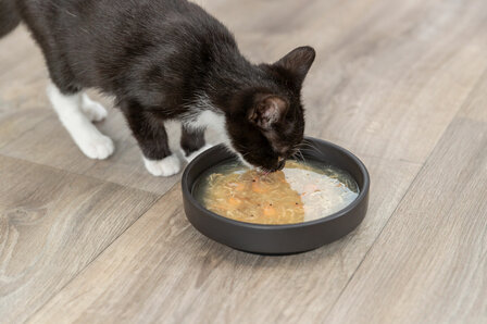 Trixie Kattensnack Salmon Soup